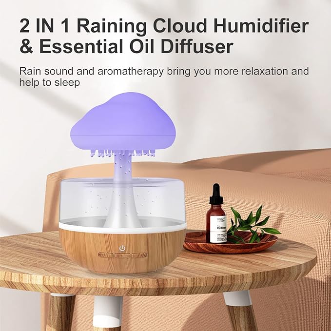 Electric Rain Cloud Humidifier