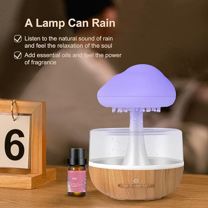 Electric Rain Cloud Humidifier